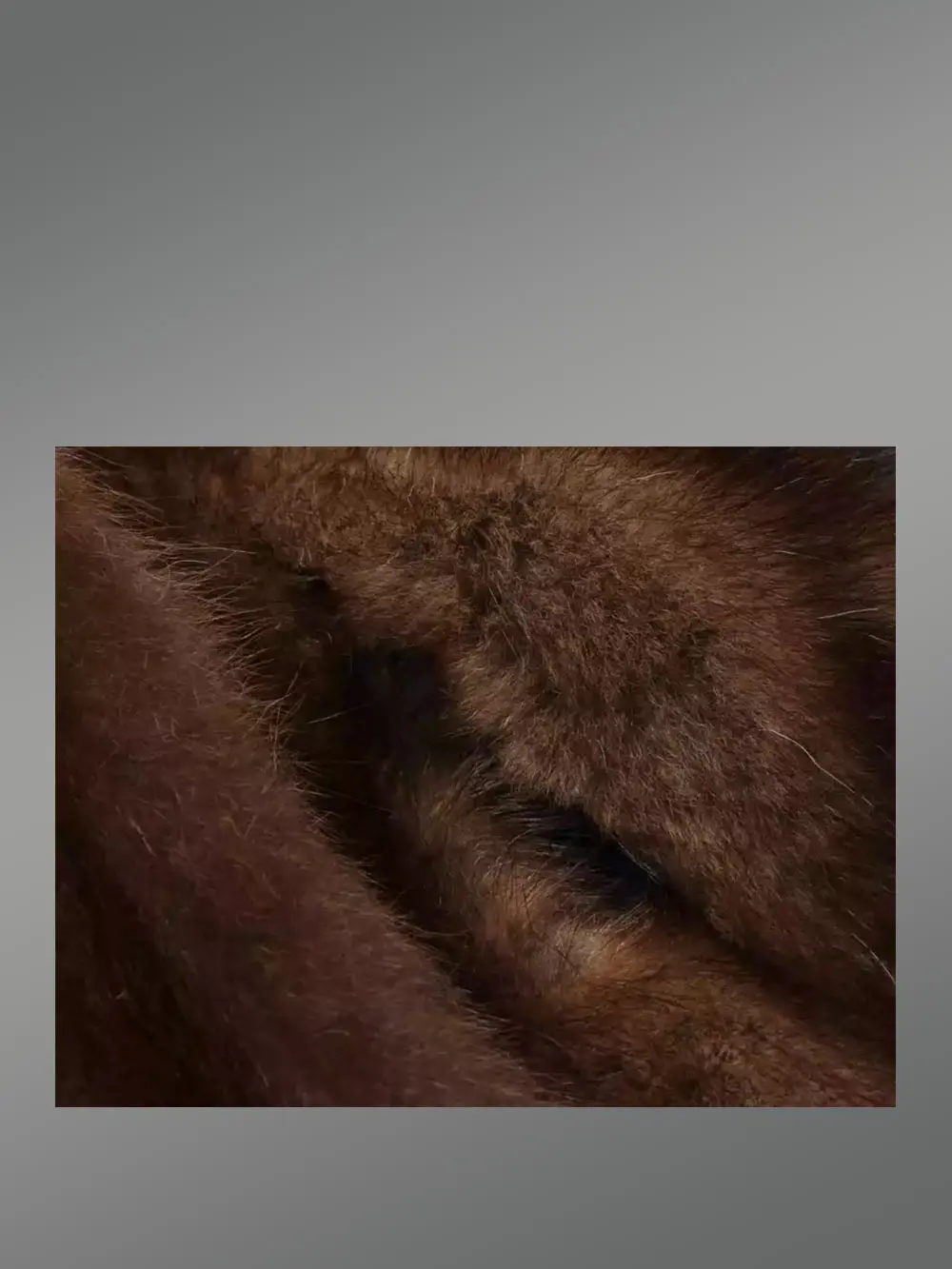 Mink Fur Men Coat with Detachable Luxury Hood - Image 7