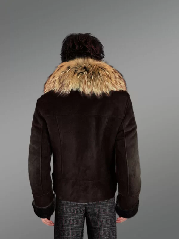 Real Shearling Jacket with Stylish Raccoon Fur Collar - Image 3