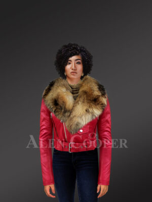 Women's Short Length Moto Jacket With Fur in Burnt Red