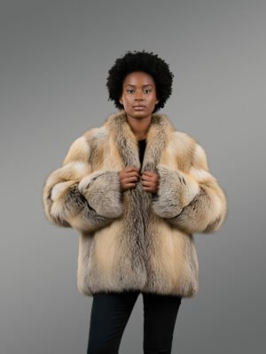 Women’s Crench Collar Golden Island Coat